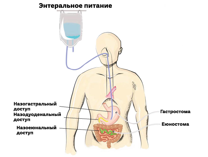 Питание через